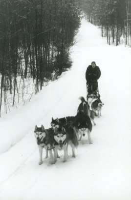 Kuuhaukun valjakko